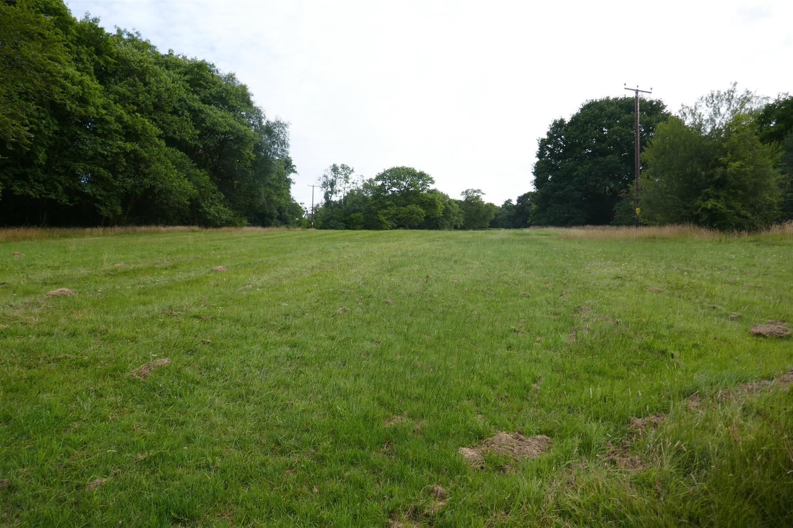 LAND